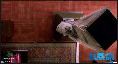 九条命剧照的剧照