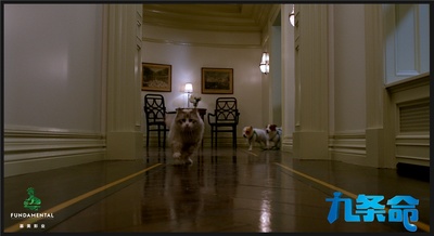 九条命剧照的剧照