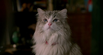 九条命剧照的剧照