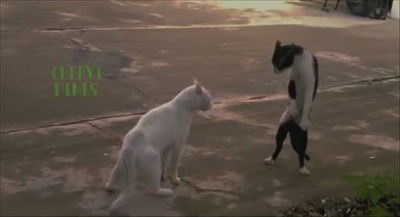 九条命剧照的剧照