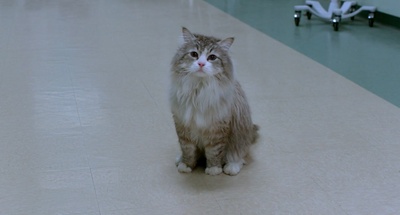 九条命剧照的剧照