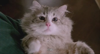 九条命剧照的剧照