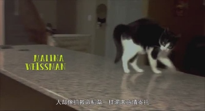 九条命剧照的剧照