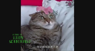 九条命剧照的剧照