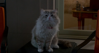 九条命剧照的剧照