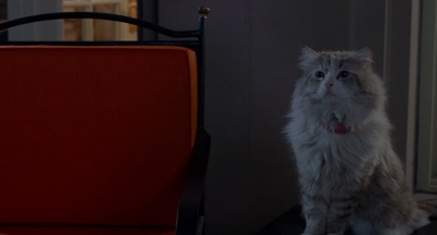 九条命剧照的剧照