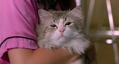 九条命剧照的剧照