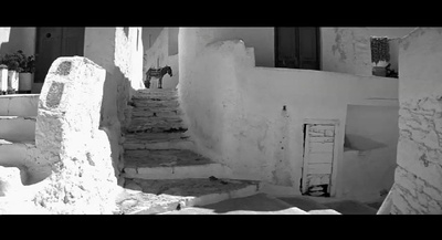 碧海蓝天剧照的剧照