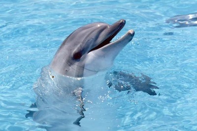 碧海蓝天剧照的剧照