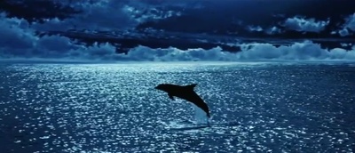 碧海蓝天剧照的剧照