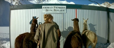 碧海蓝天剧照的剧照