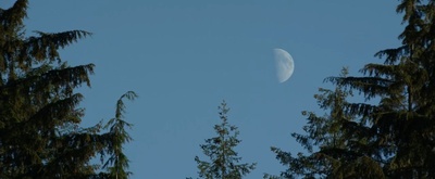 奇迹男孩剧照的剧照