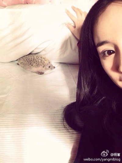 分手大师剧照的剧照