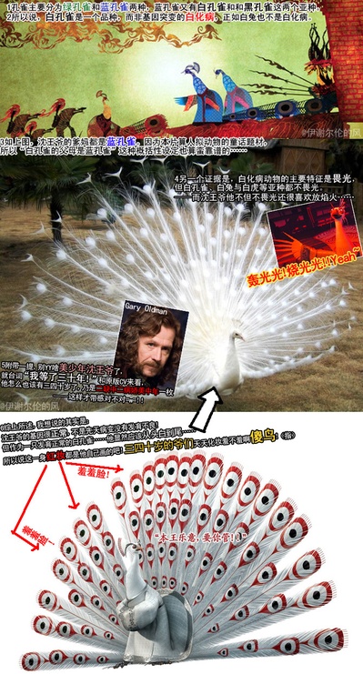 功夫熊猫2剧照的剧照