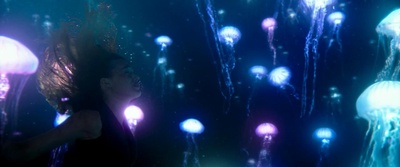 鲨滩剧照的剧照