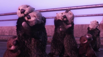 海底总动员2：多莉去哪儿剧照的剧照