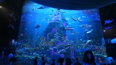 海底总动员2：多莉去哪儿剧照的剧照