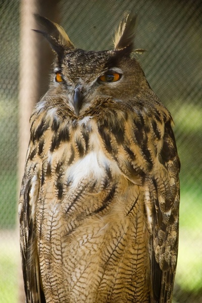 我家买了动物园剧照的剧照