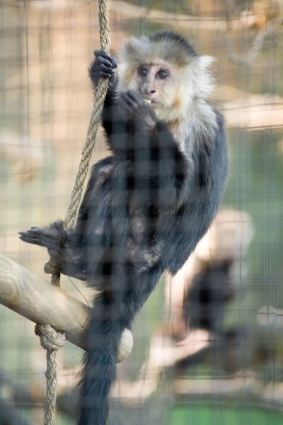 我家买了动物园剧照的剧照