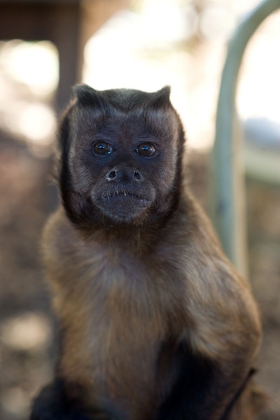 我家买了动物园剧照的剧照