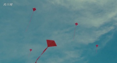 我家买了动物园剧照的剧照