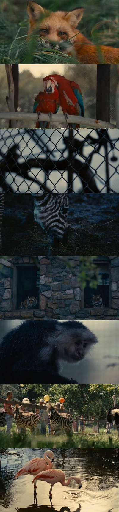 我家买了动物园剧照的剧照