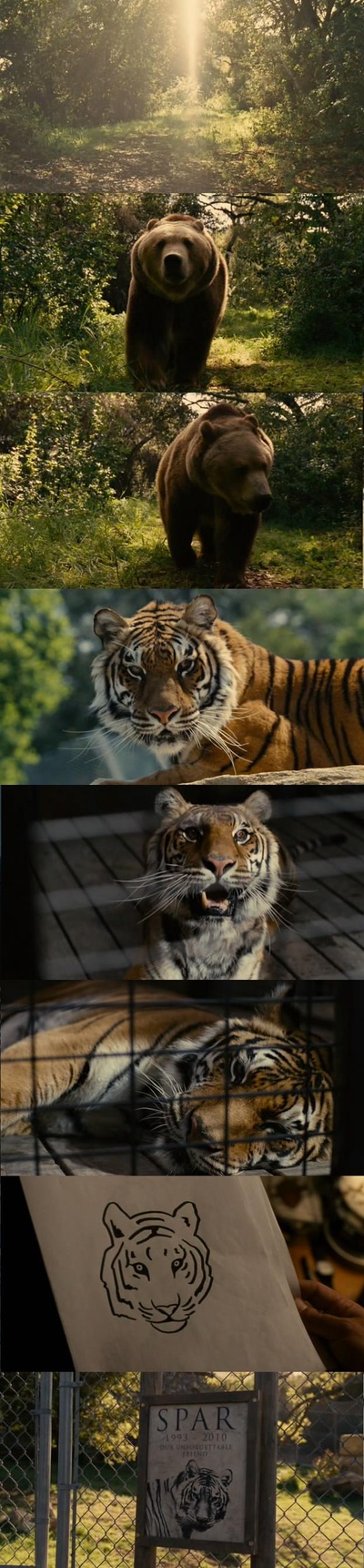 我家买了动物园剧照的剧照