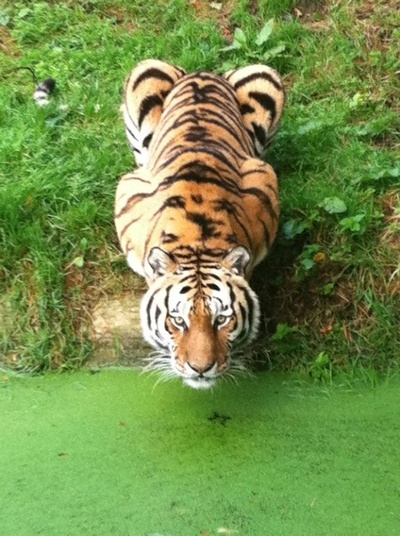 我家买了动物园剧照的剧照