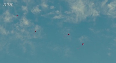 我家买了动物园剧照的剧照