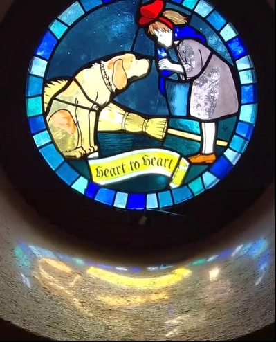 宫崎骏和吉卜力美术馆剧照的剧照