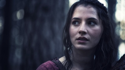 诺曼人：维京传奇剧照的剧照