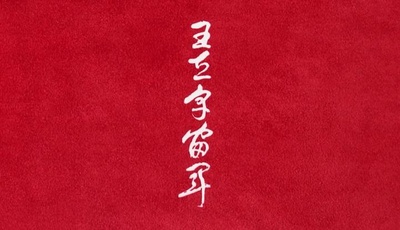 王立宇宙军：欧尼亚米斯之翼剧照的剧照