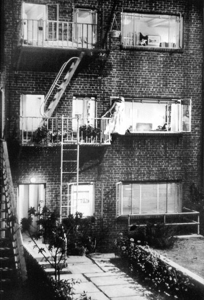 后窗剧照的剧照