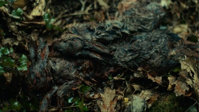 龙虾剧照的剧照