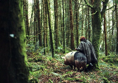 龙虾剧照的剧照