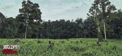 湄公河行动剧照的剧照