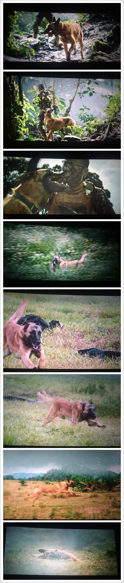 湄公河行动剧照的剧照