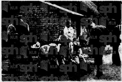 悲情城市剧照的剧照