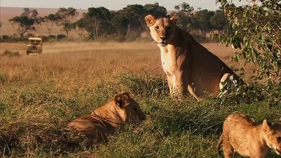 遗愿清单剧照的剧照
