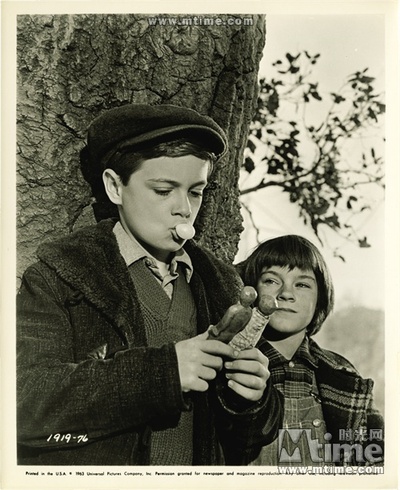 杀死一只知更鸟剧照的剧照