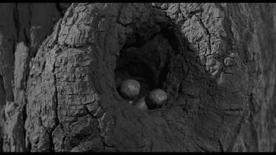 杀死一只知更鸟剧照的剧照