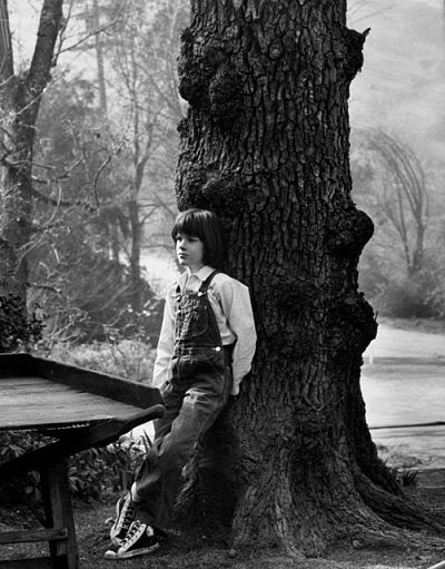 杀死一只知更鸟剧照的剧照