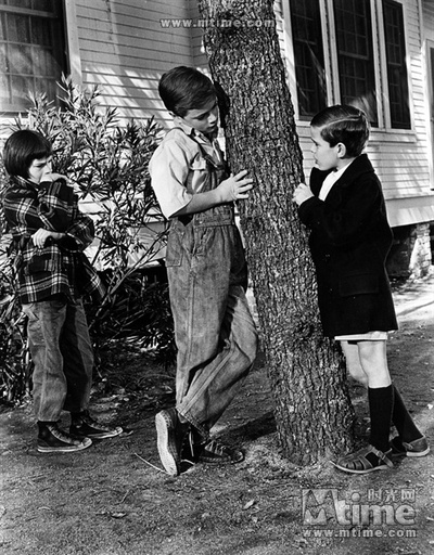 杀死一只知更鸟剧照的剧照