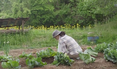 小森林 冬春篇剧照的剧照