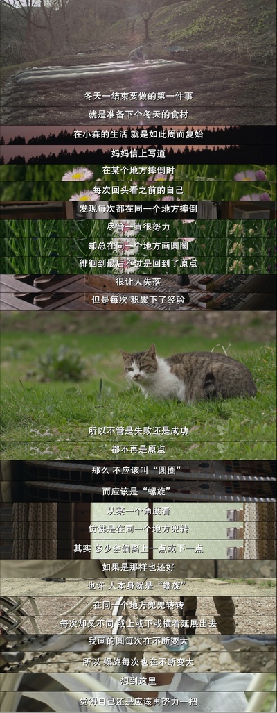 小森林 冬春篇剧照的剧照