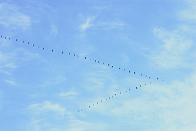 小森林 冬春篇剧照的剧照