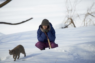 小森林 冬春篇剧照的剧照