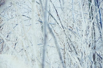 小森林 冬春篇剧照的剧照