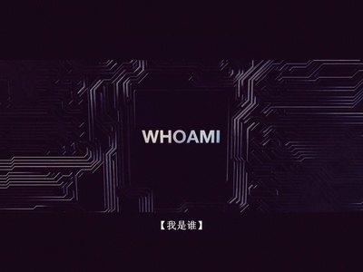 我是谁：没有绝对安全的系统剧照的剧照