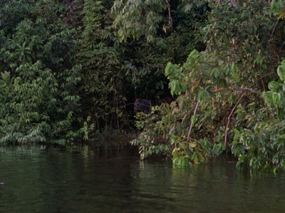 阿基尔，上帝的愤怒剧照的剧照